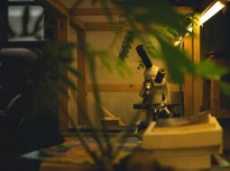 celebrating-breakthroughs-how-recognizing-research-and-innovation-drives-progress