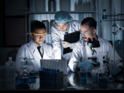 Research excellence and innovation