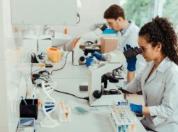 Dr. Thomas Gratzer: Research and Innovation