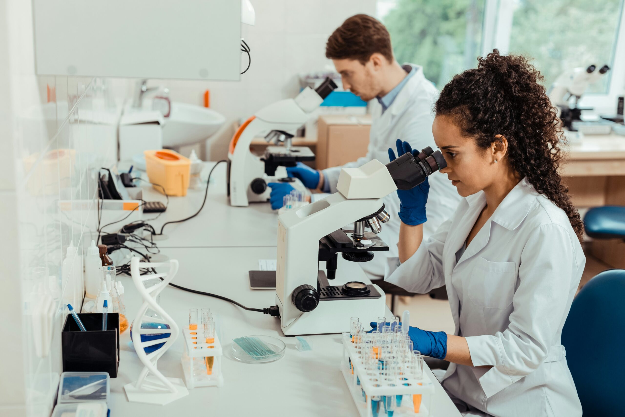 Dr. Thomas Gratzer: Research and Innovation